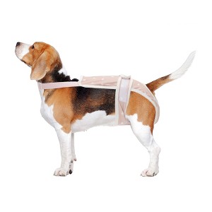 Unique Bargains Pet Diapers for Female Dog Period Underwear Washable with Adjustable Suspender - 1 of 4