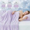 Cozy Bliss Reversible Cooling Comforter Soft Breathable Cooling Blanket for Night Sweats - 3 of 4