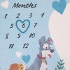 NoJo Disney Lady & the Tramp Blue, White, and Gold Love At First Sight Super Soft Photo Op Milestone Baby Blanket - 4 of 4