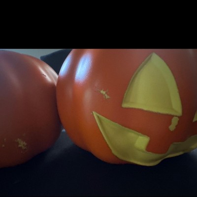 Guest review image 3 of 3, zoom in