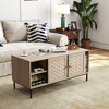 41.73" Natural Hand-Woven Veneer Rectangular Coffee Table with 4 Sliding Doors and Ample Storage - 2 of 4