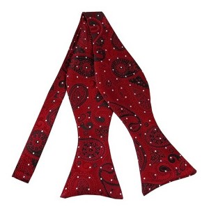 Men's Paisley 2.75" x 4.75" Adjustable 16" - 22" Self-Tie Bow Tie - 1 of 3