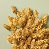 16" Faux Golden Hops Fall Stems Bundle - Hearth & Hand™ with Magnolia: Farmhouse Decor, Artificial Leaf Sprays, Autumn - 3 of 3
