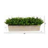 Nearly Natural 19-in Eucalyptus Artificial Plant in Decorative Planter - 2 of 4