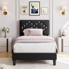 homfan Bed Frame with Button-Tufted Linen Headboard, Wood Slat Support - Princess Platform Bed for Girls, Easy Assembly, No Box Sprin - 3 of 4