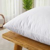 Peace Nest 2 Pack Decorative Throw Pillow Inserts with 100% Cotton Cover - 3 of 3