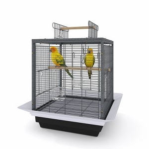 Small Bird Cage, 20 Inch Bird Cage, Parakeet Cage with Tray and Handle for Parrot Cockatiels Budgies Finch Lovebirds Pigeons, Black - 1 of 4