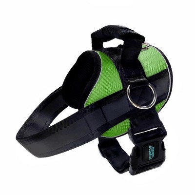 Joyride Harness Premium Advanced No Pull Dog Harness 2.0 Grass Green