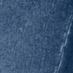 stonewash floral