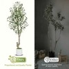 Tall Faux Olive Tree，5ft（60in） Tall Faux Olive Tree with White Planter and Green Fake Moss, 1 Pack - 3 of 4