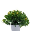 Unique Bargains Artificial Plants Mini Gypsophila Plastic 2.36"x2.36"x5.12" 1 Pc - 4 of 4