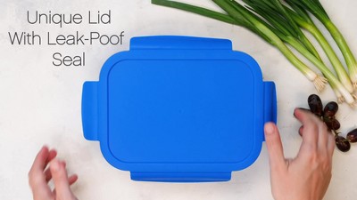 Gray Glass Leak-Proof Bento Lunch Box with Plastic Lid