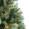 Puleo 9' Pre-Lit Artificial Tacoma Pine Tree with 800 LED Lights - 4 of 4