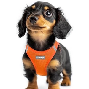 rabbitgoo Small Dog Harness, Step-in Soft Mesh Puppy , Breathable Reflective Pet Harness for Extra Small Dogs, Orange XXS - 1 of 1