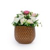 Set of 3 Modern Round Ceramic Planter Pots with Drainage Hole, Matte Ceramic Flower Pots for Windowsills, Patio, or Garden–The Pop Home - 2 of 4