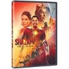 Shazam! Fury of the Gods (DVD) - 2 of 4