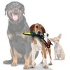 Tuffy Junior Barn Yard Duck Dog Toy - Brown - 2 of 4