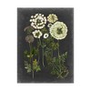 Trademark Fine Art -Naomi Mccavitt 'Bookplate Floral Ii' Canvas Art - 2 of 4