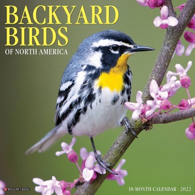 2022 Wall Calendar Backyard Birds - Willow Creek Press