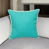 HomeRoots 20" Blue Cotton Throw Pillow - 2 of 4