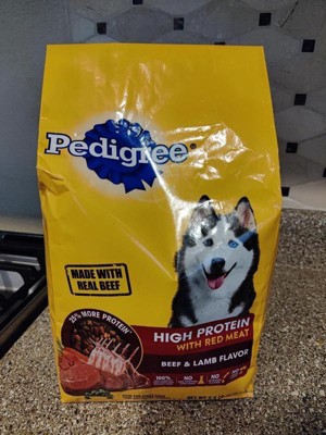 Pedigree high protein beef & lamb flavor adult hotsell dry dog food