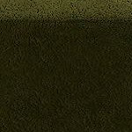 green - cloud fleece