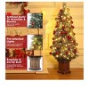 Green 629830091233 Box Christmas Light Tree Decoration Ornaments Boxes for Holiday Decor - 4 of 4