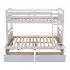 NicBex Twin over Full Loft Bunk Bed, Modern Wooden Bed Frame, Convertible Bed Frame with 2 Storage Drawers and Ladder for Bedroom - 4 of 4