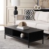 Lylia 2 Door Coffee Table - Safavieh - image 2 of 4