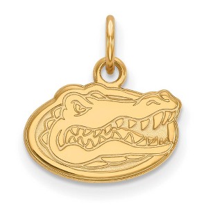 Black Bow Jewelry 10k Yellow Gold Florida Gators NCAA Extra Small Pendant - 1 of 3