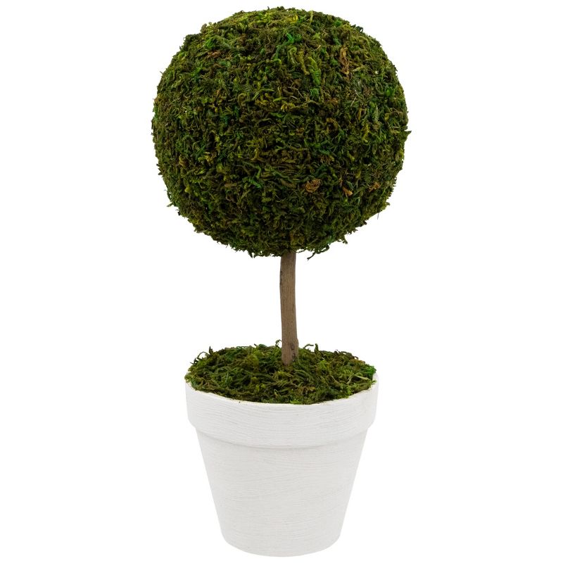 Northlight Reindeer Moss Ball  Artificial Potted Topiary Tree - 16" - Green, 1 of 7