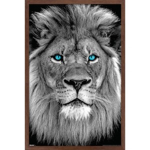 Trends International Reinders: Animals - Blue Eyed Lion Framed Wall Poster Prints - 1 of 4
