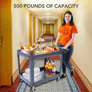 500lbs Capacity Heavy Duty Plastic 2 Tier Utility Service Cart,Utility Cart with 360° Rotating Wheels, Utility Cart for Garage, Warehouse,Office - 1 of 4