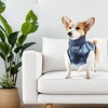 Unique Bargains Recovery Suit for Dogs Blue 1 Pc - 2 of 4