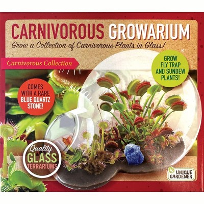 Unique Gardener: Carnivorous Growarium - DIY Glass Terrarium Kit, Venus Fly Trap