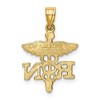 Black Bow Jewelry 14k Yellow Gold Diamond-Cut RN Nurse Pendant, 15 x22mm (9/16 x 7/8 In) - 3 of 4