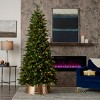 Seasonal LLC Canyon Ranch Fir Artificial Tree 9ft, Pre-Lit 620 Warm White LED Lights, 2264 PE/ PVC Tips - 2 of 4