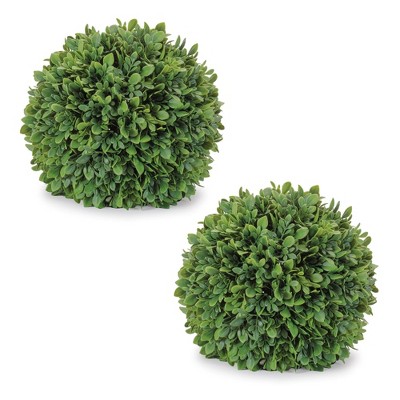 Boxwood Foliage Orb (Set of 2)