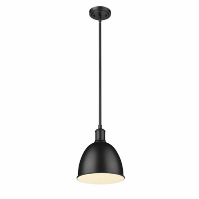 Matte Black Glass Indoor/Outdoor Pendant Light