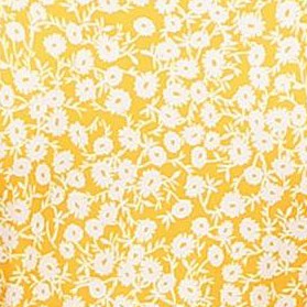 small yellow flowers