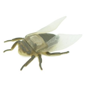 Collectible Wildlife Gifts | Fly, Houseflies,  Rubber Insect, Educational, Realistic Hand Painted,  Model,   Gift,     2"   US22 B44 - 1 of 4