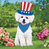 Collections Etc Patriotic Realistic Bichon Frisé Outdoor Garden Stake - 2 of 2