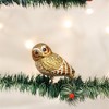 Old World Christmas Glass Blown Ornament for Christmas Tree, Pygmy Owl - 2 of 3