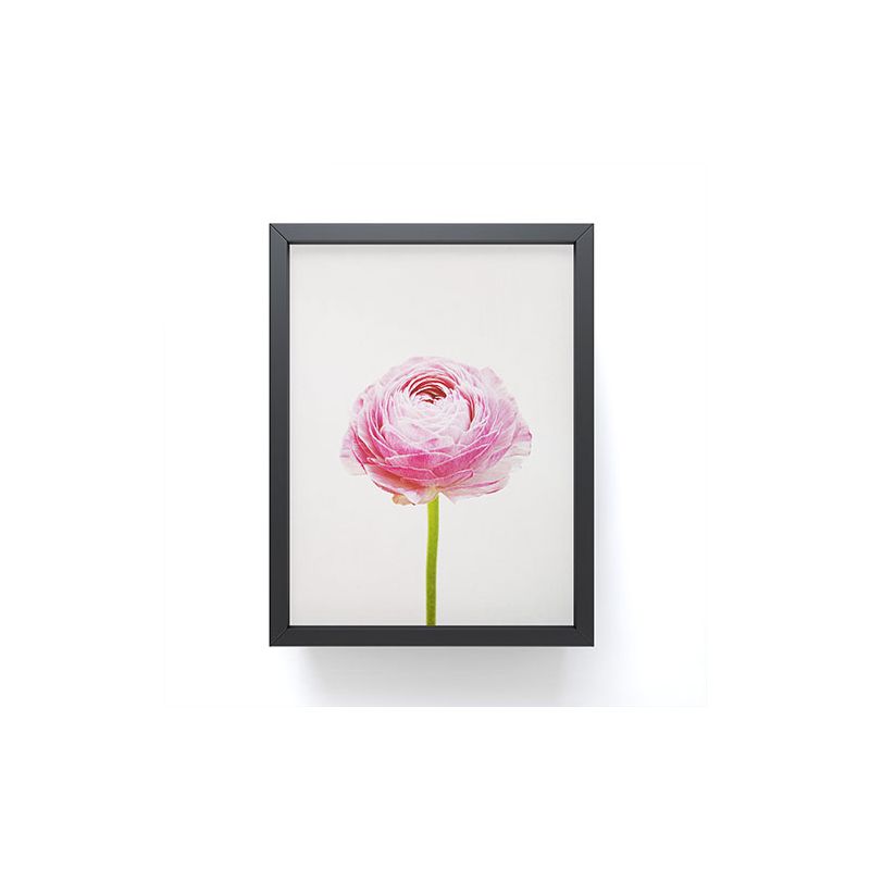 Cassia Beck Ranunculus Flower Framed Mini Art Print - Society6, 1 of 4