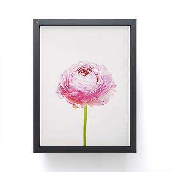 Cassia Beck Ranunculus Flower Framed Mini Art Print - Society6