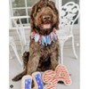 Midlee 4th of July Decorative Dog Bell Collar - 4 of 4