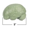 Learning Resources Cross-Section Brain Model, 5" Long, Ages 7+ - 3 of 4