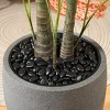 DR.Planzen 8ft UV Resistant Artificial Palm Tree with Grey Tall Planter, Fake Palm Plant for Indoor Outdoor Home Decor Office House Decor - 4 of 4