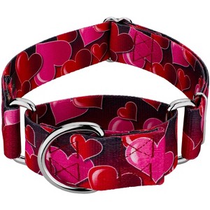 Country Brook Petz HossFit Jr Wide Martingale Dog Collar - Affection Collection - 1 of 4