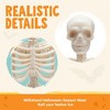 Joyfy 12 PCS 6” Halloween Mini Skeleton Figurines, Plastic Poseable Small Skeletons Toys Decorations for Graveyard Haunted House Party Prop Decor - 3 of 4